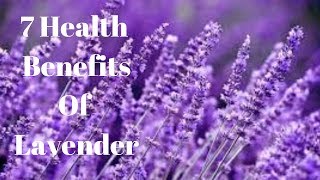 7 Health Benefits Of Lavender [upl. by Arezzini]