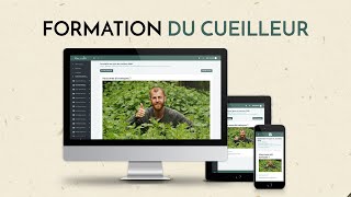 Formation en ligne du Cueilleur  cueillette Cuisine Herboristerie [upl. by Aisad]