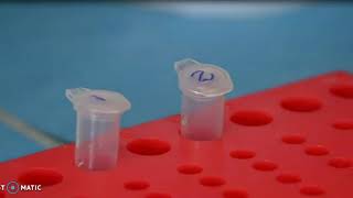 Plant DNA extraction  CTAB Method [upl. by Etak716]