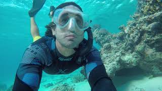 Snorkeling FIJI world class coral reefs [upl. by Atkinson684]