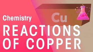 Reactions Of Copper  Reactions  Chemistry  FuseSchool [upl. by Juieta]