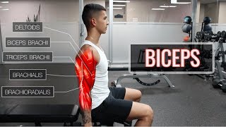 The Best ScienceBased Bicep Workout  ARMS Part 12 [upl. by Asetal]