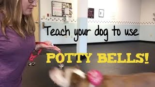 Potty bells Training Tips Tuesdays [upl. by Trudnak]