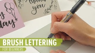 Brush Lettering for Beginners [upl. by Ahsiekrats156]