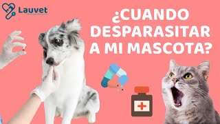 DESPARASITACIÓN EN PERROS Y GATOS  Lauvet [upl. by Nilyaj780]