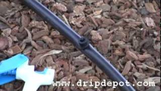 How to install button drippers in a drip irrigation system [upl. by Laurena]