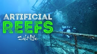 What are Artificial Reefs  Salt Life [upl. by Yarised]