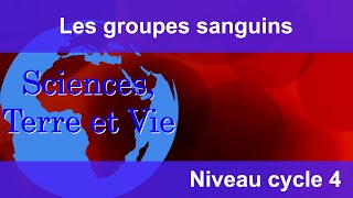 Les groupes sanguins [upl. by Jeddy]