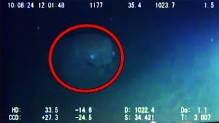 12 Mysterious Underwater Creatures Caught on Tape [upl. by Nosiddam]