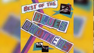 Blues Brothers  Best Of 1981 Full Album [upl. by Rma145]