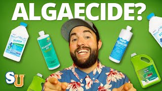 The TRUTH About Using ALGAECIDE In Your POOL [upl. by Fairbanks]