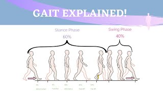 Gait Range of Motion Animation [upl. by Garson]