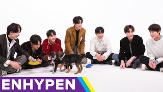 ENHYPEN The Puppy Interview [upl. by Pepe]