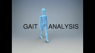 Gait Analysis and the Gait Cycle [upl. by Sseb398]