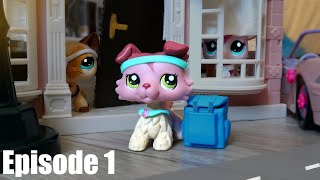 LPS The Orphan Episode 1 [upl. by Annam]