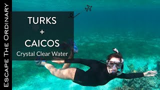 Turks and Caicos Our Best Snorkeling Experience [upl. by Kirchner]