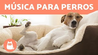 MÚSICA PARA DORMIR PERROS 🐶 💤 ¡Relaja y mejora la ansiedad [upl. by Matuag944]