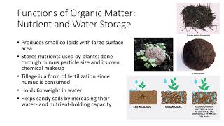 Soil Organic Matter [upl. by Marva]