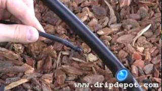 Drip Irrigation Systems How to install Pressure Compensating Button Drippers [upl. by Ameerahs]