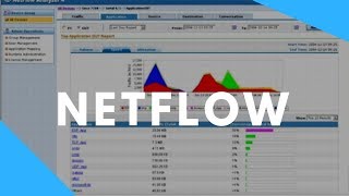 Netflow  Monitoring Your Network Traffic [upl. by Eremaj]