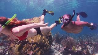 Shallow Florida Keys Reef Snorkel Tour [upl. by Brandenburg]