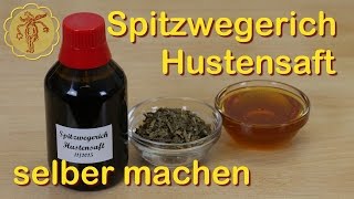 Spitzwegerich Hustensaft selber machen [upl. by Trefor407]