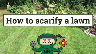 How to scarify a lawn [upl. by Leuqcar]