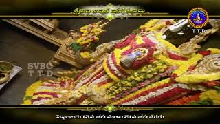 Brahmanda Nayakuni Brahmotsavam2018  SVBC TTD [upl. by Ave]