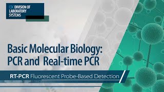 Basic Molecular Biology PCR and RealTime PCR – RTPCR Fluorescent ProbeBased Detection [upl. by Stricklan]