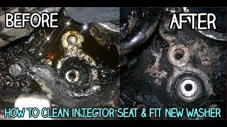 Injector SealWasher Replacement  How To Remove amp Install  DIY [upl. by Kcered]