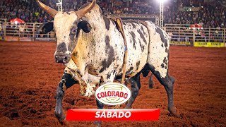 Rodeio de COLORADO 2024 SÁBADO  MELHORES MOMENTOS [upl. by Navi]