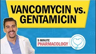 Pharmacology  Vancomycin vs Gentamicin Antibiotics nursing RN PN NCLEX [upl. by Darin]