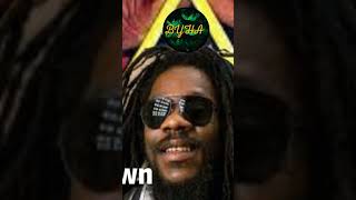 Dennis Brown Mix [upl. by Gervase]