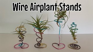 How to make wire Air Plant stands  simple and quick craft 🌿 [upl. by Yurik362]