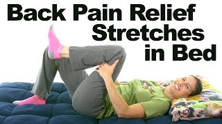 Back Pain Relief Stretches – 5 Minute Real Time Routine [upl. by Sholley]