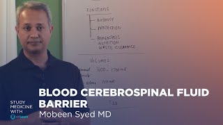 Blood Cerebrospinal Fluid Barrier [upl. by Arvind]