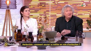 Herboriste  comment sauver ce métier en voie dextinction   La Quotidienne [upl. by Ybok]