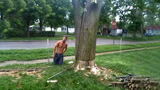 Funniest Tree Cutting Fails 9 [upl. by Enileve]