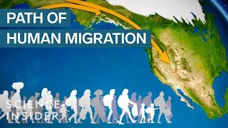 Map Shows How Humans Migrated Across The Globe [upl. by Ehcnalb]