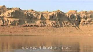 Glimpse of Chambal Ghati [upl. by Iveson]