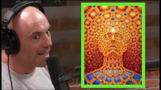 Joe Rogans DMT Experiences [upl. by Asilim]