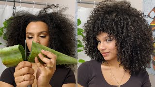 Aloe Vera Wash Day Routine for Extreme Hair Growth [upl. by Sewoll]