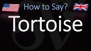 How to Pronounce Tortoise CORRECTLY [upl. by Rem]