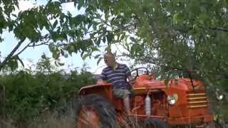 Renault D22 1958 tracteur agricole [upl. by Okier]