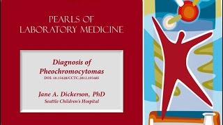 Diagnosis of Pheochromocytomas [upl. by Eerak]