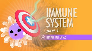 Immune System Part 1 Crash Course Anatomy amp Physiology 45 [upl. by Wylie965]