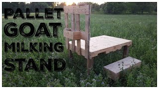 DIY Pallet Goat Milking Stand [upl. by Manson]