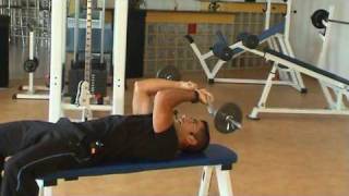 Triceps barre au front barre EZ [upl. by Mencher]