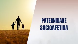 Paternidade socioafetiva [upl. by Wawro]