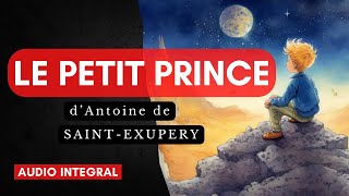 Le Petit Prince en entier [upl. by Brandtr14]